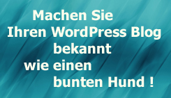 schritt-fuer-schritt-anleitung f&uuml;r eine spitzenpositionierung bei google